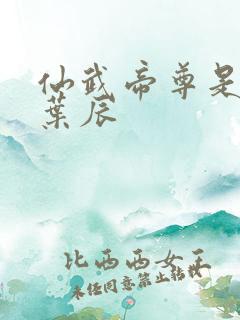 仙武帝尊是不是叶辰