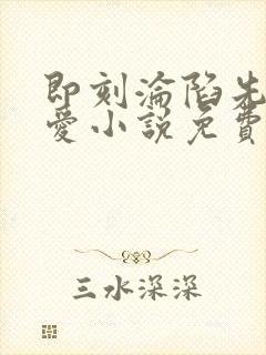 即刻沦陷先婚后爱小说免费阅读全文