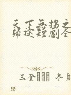 天下无拐之意外归途短剧全集免费观看