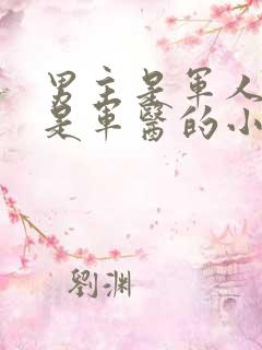 男主是军人女主是军医的小说