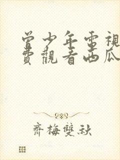 曾少年电视剧免费观看西瓜