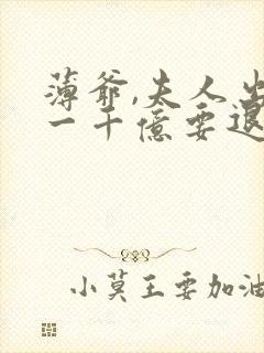 薄爷,夫人出价一千亿要退婚完结版