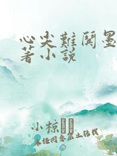 心尖难哄墨枭原著小说