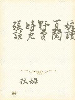 张时野夏婉央小说免费阅读笔趣阁