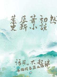 叶辰萧初然最快更新小说