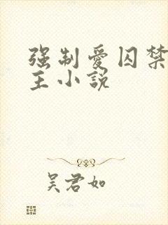 强制爱囚禁双男主小说