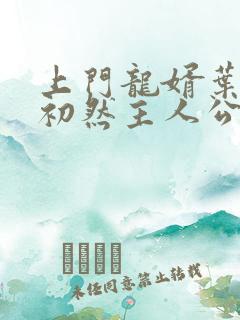 上门龙婿叶辰萧初然主人公
