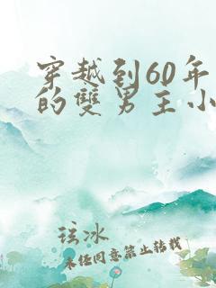 穿越到60年代的双男主小说