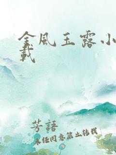 金风玉露小说下载