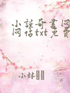 小说奇书网下载网站txt免费下载