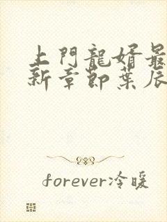 上门龙婿最新更新章节叶辰萧初然