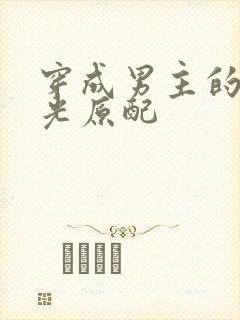 穿成男主的白月光原配