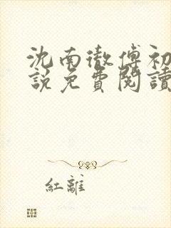 沈南彻傅初安小说免费阅读最新章节