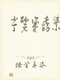 少帅你老婆又跑了免费的小说