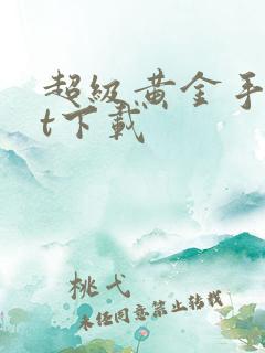 超级黄金手txt下载