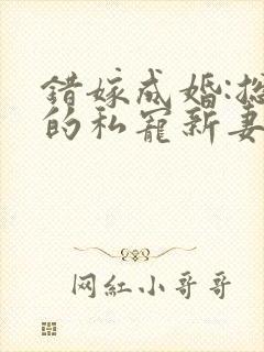 错嫁成婚:总裁的私宠新妻