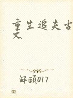 重生追夫古言宠文