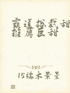 霸道总裁甜宠文推荐巨甜
