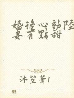 婚后心动陆少追妻有点甜