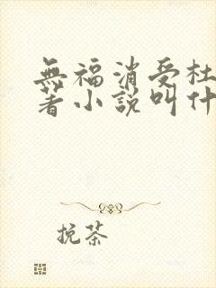 无福消受杜沁原著小说叫什么名字