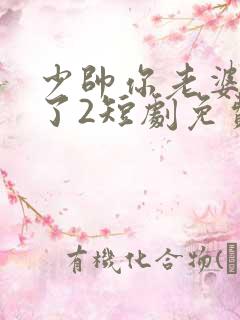 少帅你老婆又跑了2短剧免费观看