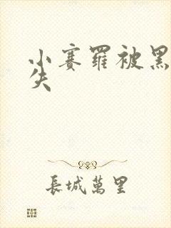 小赛罗被黑化消失