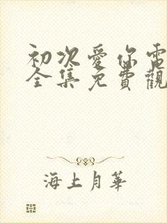 初次爱你电视剧全集免费观看高清在线