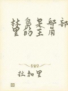 林枭是哪部小说里的主角