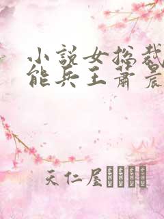 小说女总裁的全能兵王萧晨