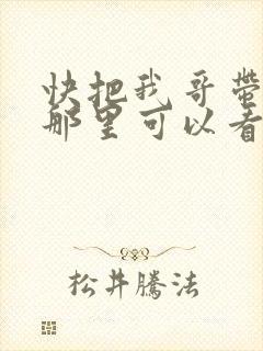 快把我哥带走在那里可以看