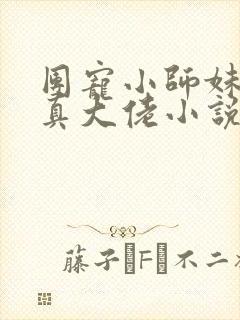 团宠小师妹才是真大佬小说在线阅读