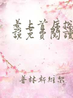 惹上首席总裁小说免费阅读