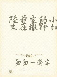 陆爷家的小妖精又在撒野 txt全本