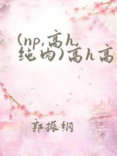 (np,高h,纯肉)高h高辣小说