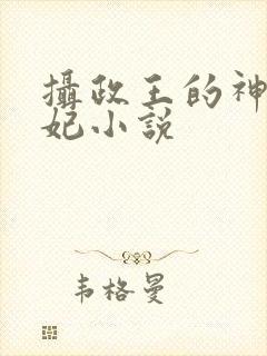 摄政王的神医毒妃小说