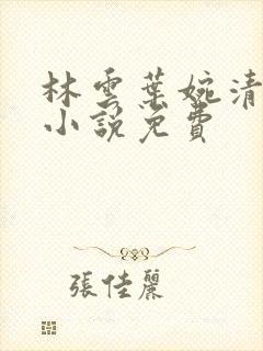 林云叶婉清穿越小说免费