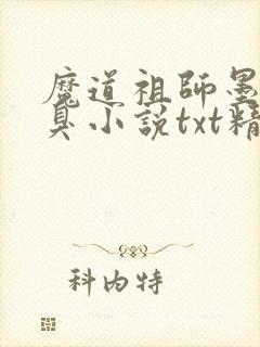 魔道祖师墨香铜臭小说txt精校版