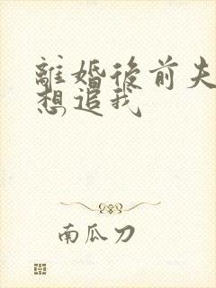 离婚后前夫总是想追我