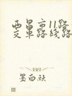 西昌市11路公交车路线路