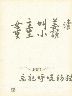 女主叫姜清婉的重生小说