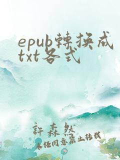 epub转换成txt各式