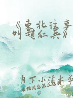 《东北往事之我叫赵红兵》在线观看