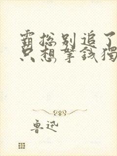 霸总别追了夫人只想拿钱独美江易淮的小说