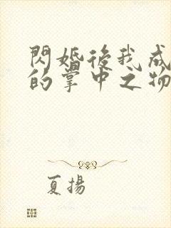 闪婚后我成大佬的掌中之物