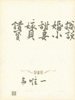 错嫁甜婚总裁的宝贝妻小说完整