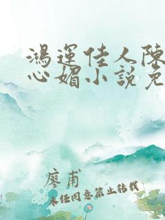 鸿运佳人陈斌赵心媚小说免费阅读