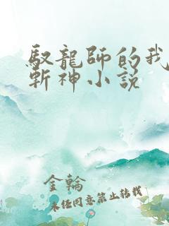 驭龙师的我可以斩神小说
