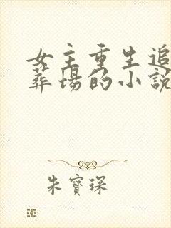 女主重生追夫火葬场的小说