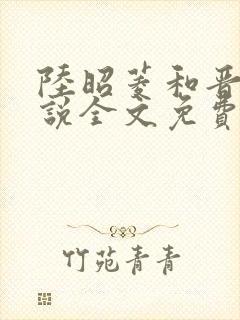 陆昭菱和晋王小说全文免费阅读