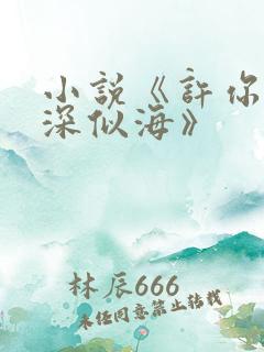 小说《许你情深深似海》